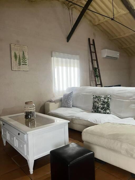 Appartement Villalegria. Cercana A Puy Du Fou Totanés